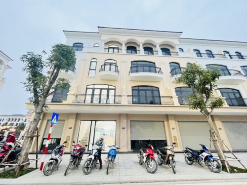 Bán Phân Khu Cọ Xanh 48m2